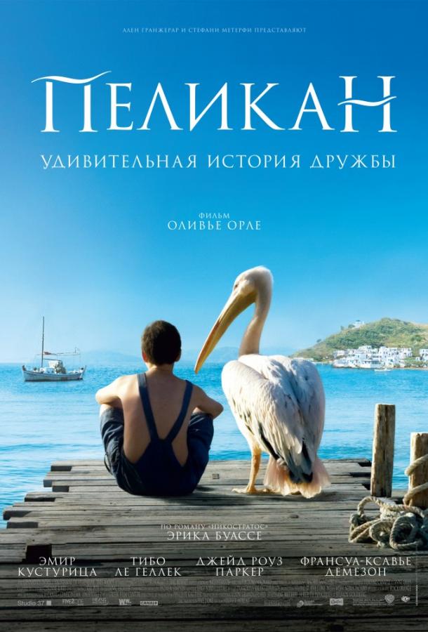 Фильм Пеликан 2011 года смотреть онлайн в хорошем качестве